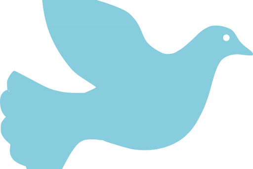 dove-157701_640.png